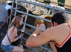 This fellow wanted a photo of his girlfriend with the cow.